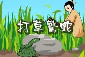 “蛇进家门不能打”，为什么不能打？图片