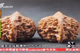 文玩核桃该如何盘玩呢？文玩核桃的这些盘玩方法你要知道视频封面