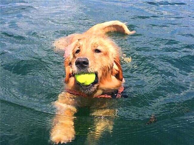 ҥëġůС𣿲ֻǶѺ