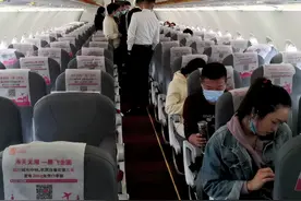 一只老鼠逼停一架客机！航空公司回应：第一次遇到图片