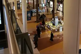 西行沙特埃及随笔图片