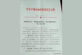 礼金不超9.9万元！酒席数不过十！丰城市丽村镇发红头文件图片