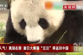 旅日20年大熊猫旦旦将回国 日本游客抽签告别图片