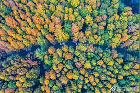 2021吉林“换装”指南！启程“趣”秋游啦！图片