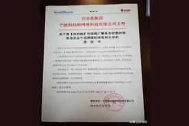 贝因美秋后算账，三季度营收抵不过自己挖过的坑图片