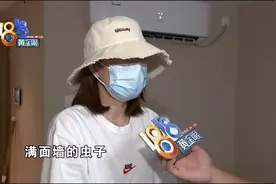 墙体发霉长虫子，中介说正常居住图片