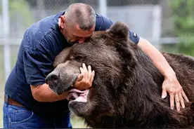 旧影拾记：美国夫妇饲养3米高大熊，对待它就像是孙子，催人泪下图片