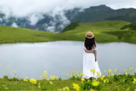 世间最好的养生：忘图片