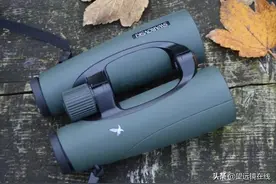 施华洛世奇EL10x50评测图片