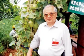胡应湘最早提出建港珠澳大桥，却被李嘉诚威胁：不要妨碍其他人图片