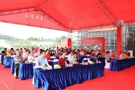 领航共赢，赋能绽放！壹号蛋鸡产业园举行青年鸡转场仪式图片