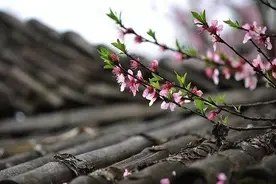 音乐分享：《云长》赵钶图片