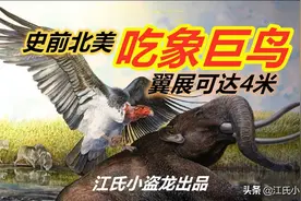 北美史前巨鸟，以猛犸尸体为食图片