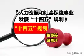 人社事业发展“十四五”规划，对事业单位职员等级晋升制度的意义图片