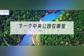 下一个中央公园在哪里图片