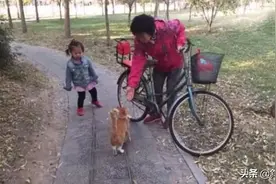 遭遇猫咪拦路“打劫”，不求吃喝只拖人，跟过去后忍不住泪奔图片