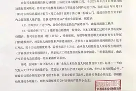 风波下的新力：南昌多项目已复工图片