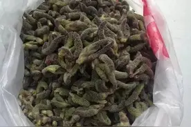 山西临猗：乡野间的绿色美食——枸桃穗图片