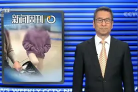 白岩松评女孩踹母亲事件：父母不学习改变，熊孩子会越来越多图片