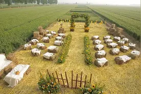 成都又开亲子农场：泰式风格，自驾1h畅游东南亚图片