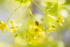散文：二月，等待一场春暖花开图片