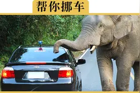 轮子被马路牙子卡住了还打方向，会有什么影响？视频封面