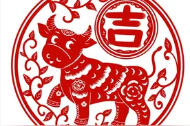 好友的妹妹被家暴之后的反击，真是给姐妹们上了一堂课啊！图片