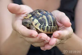 一名胆管癌晚期患者，用一种动物外壳为主药，成功带瘤生存8年图片