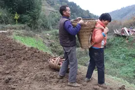陕南汉中，西乡县的这位“脱贫民星”靠养殖圆了脱贫梦图片