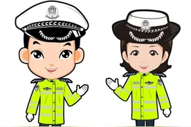 道路交通违法代码表（牌证）图片