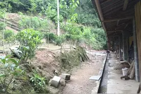 养殖黑山羊，圈舍设计简单要点，使用方便图片