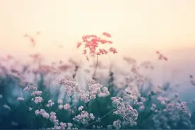 女人要明白：男人的爱，是有等级的图片