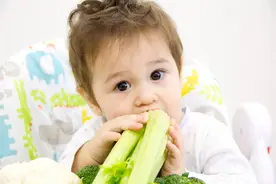 「幼儿辅食」宝宝吃蔬菜的学问图片