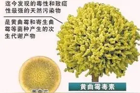一家9口聚餐，7人身亡！头号“嫌疑人”可能也藏在你家厨房里图片