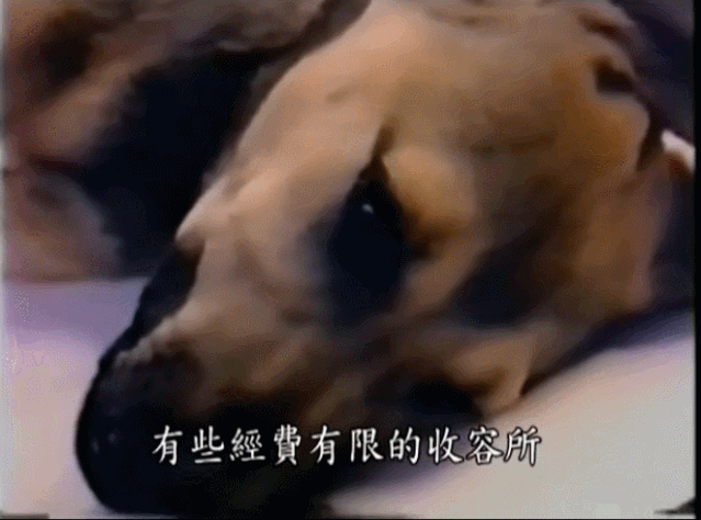 疯了，为了推荐这部电影，他绑架了13个人
