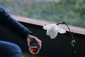 茶间皆禅意，曲间皆禅音图片