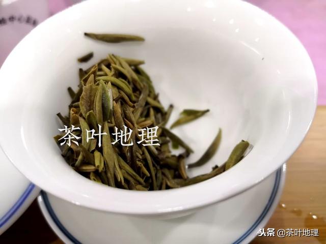 了解这些细节，人人都能泡好白茶！
