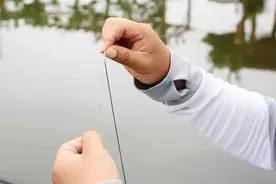 浅水钓鲫鱼为啥容易跑鱼？这5种跑鱼的原因，总有一款适合你图片