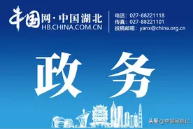湖北省委农办主任、省农业农村厅党组书记肖伏清：乡村振兴，关键在人、关键在干图片