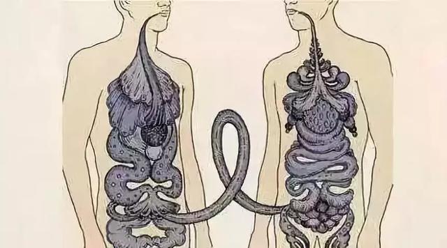 世界自闭症日：从肠道出发，治疗自闭症