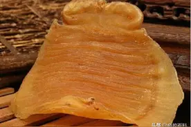鱼胶百科 | 花胶长虫子了还能吃么，该怎么处理呢？图片