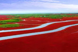 “极品”！快来打卡辽宁乡村游精品线路图片