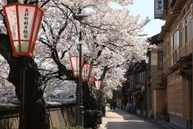 去日本最应该买的几大特色伴手礼，回家送给亲人最合适图片