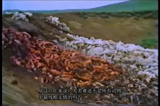 疯了，为了推荐这部电影，他绑架了13个人