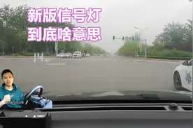 新版信号灯规则，简单一句话就能总结，这设计的目的是什么呢图片