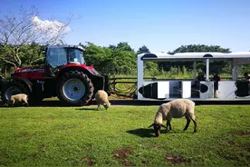 农场如何设计才会更加吸引人？|生态农场图片