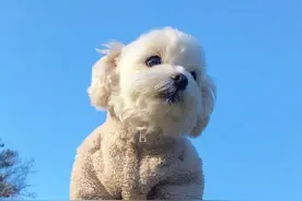 朋友圈最精辟的励志语录，句句阳光正能量图片