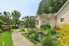 南京有一座是全国最大的绿化主题公园，免费游览，夏季风景绝美图片