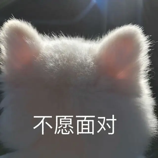 那些A站、B站、C站、D站、H站、P站都是什么网站？