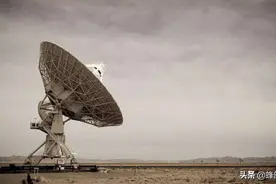 号称“气象雷达”的蜜蜂，为啥总爱死在气候上？勤劳只不过是假象图片